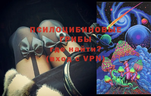 дмт Алзамай