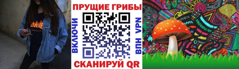 Галлюциногенные грибы MAGIC MUSHROOMS Аркадак