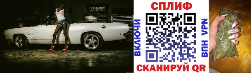 сколько стоит  Аркадак  Конопля план 